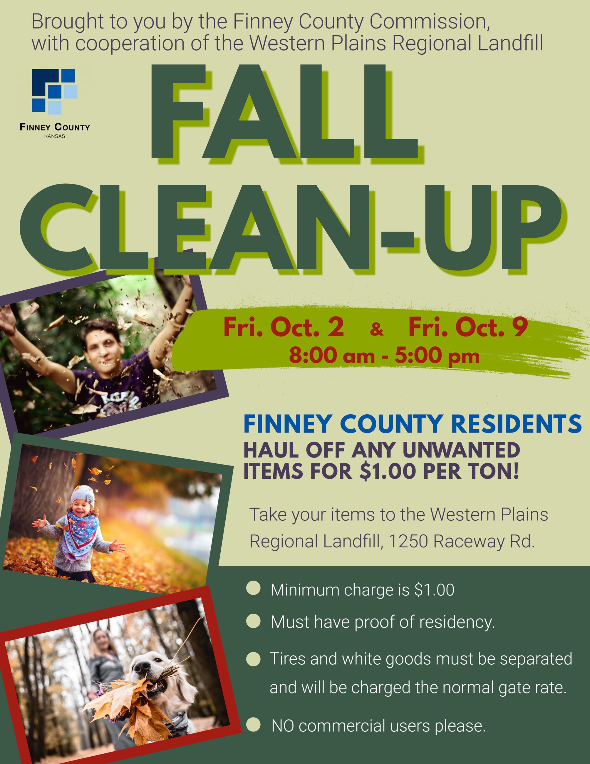 Fall Cleanup (2020)